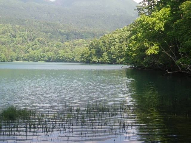 耳鳴りやめまいの微細な変化を脈診で可視化する