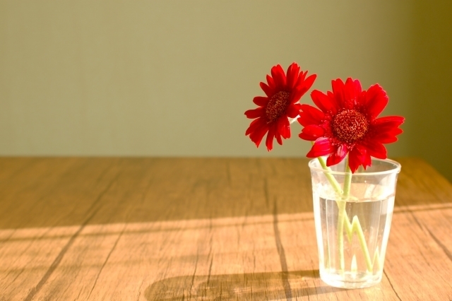 千葉市一水堂の自律神経の鍼灸：張り詰めた日常を忘れ、静かな空間で脈診と鍼を通して身体の調和を取り戻すひととき