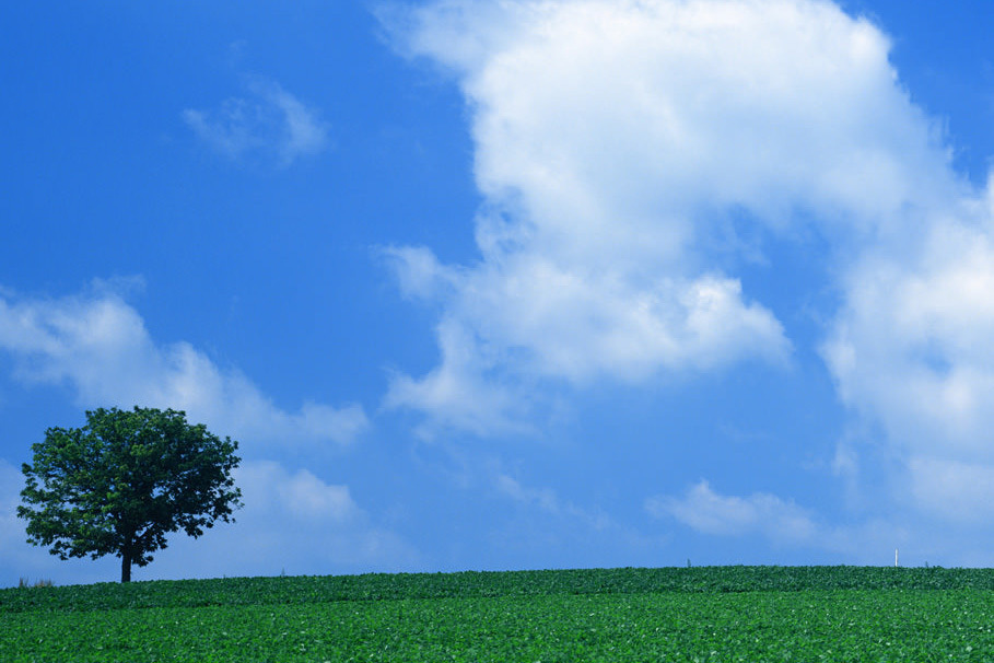 便秘の経絡(けいらく)