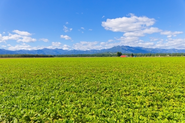 ゆったりと流れ続ける川の風景と途中のイメージ