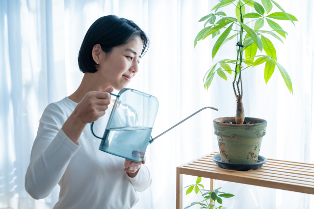 少しずつ日常生活を取り戻している様子
