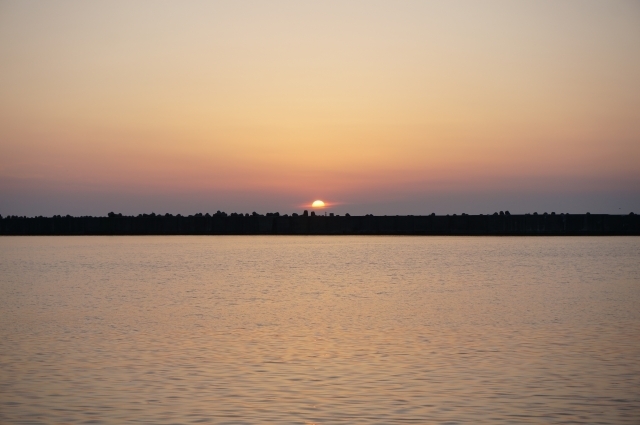 千葉市一水堂の不眠鍼灸：一本の鍼ごとに脈の変化を指先で確かめ、脳の興奮を静めて深い眠りへと導く脈診の様子