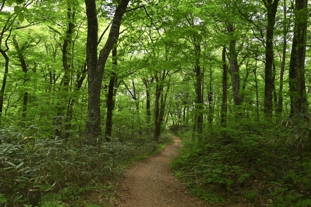 焦りを和らげ自律神経を整える「状態とは途中である」という一水堂独自の安定した視点