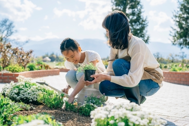 豊かな土壌を耕し種をまく準備をするイメージ