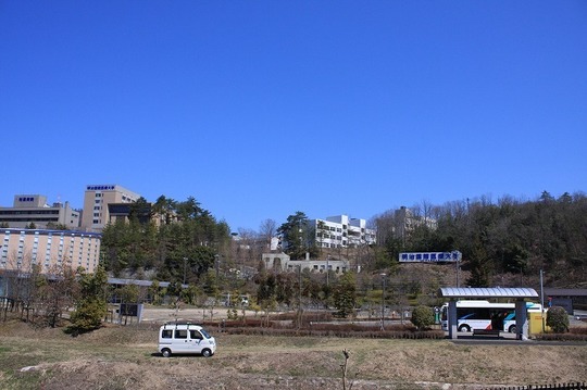 鍼灸大学の知識