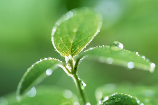 慢性的な疲れと休息の質