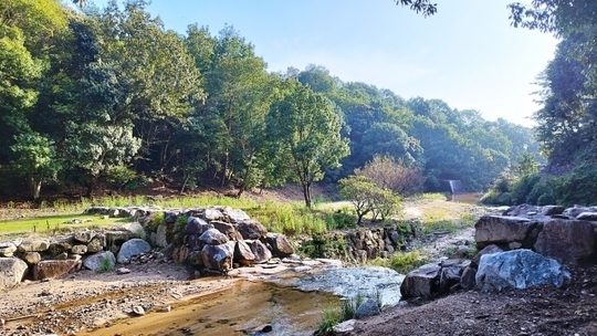 一水堂の脈診と自律神経：脈を整えることで、身体本来の調和（自然治癒力）を取り戻した健やかな状態