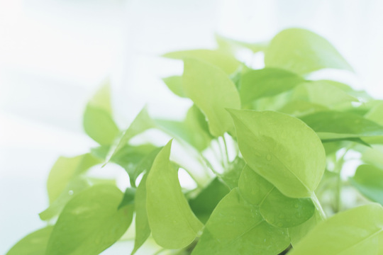 鍼灸と全身のツボ