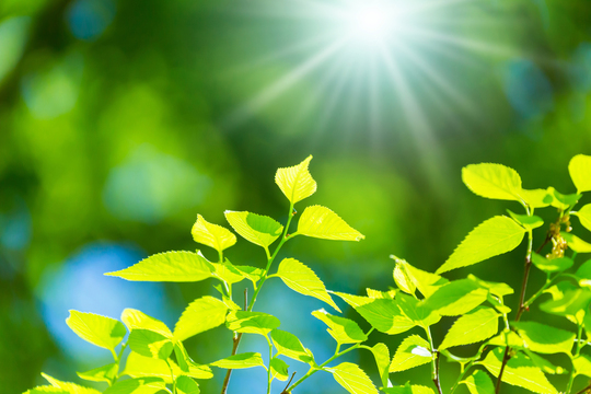 肺が弱ると冷えや風など回りの環境の変化に上手く対応できなくなります。