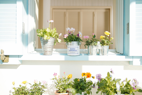 鍼灸で考える養生