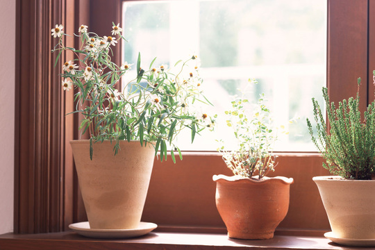 生理痛と食欲低下