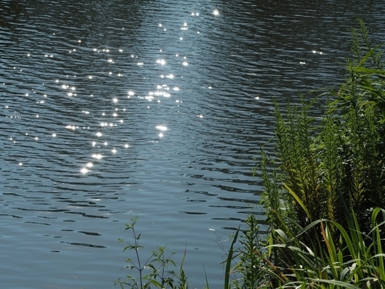 千葉市一水堂のめまい鍼灸：一本の鍼ごとに脈の変化を確かめ、自律神経の揺らぎをその場で整えていく繊細な脈診の様子
