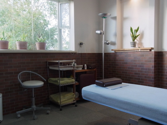 鍼灸ベット脈診流