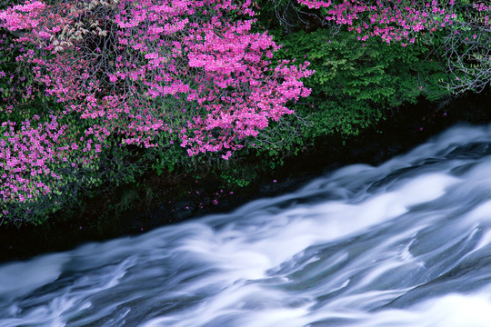鍼灸と西洋の違い