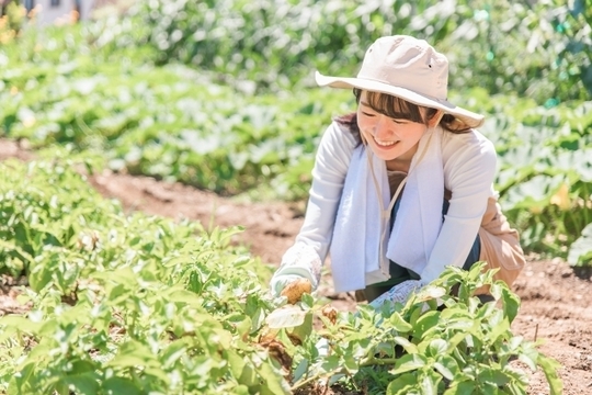 体の芯を温めることが重要です。