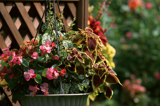 電気を流さない鍼灸