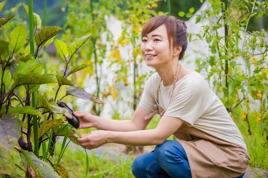 お腹の不安定な状態