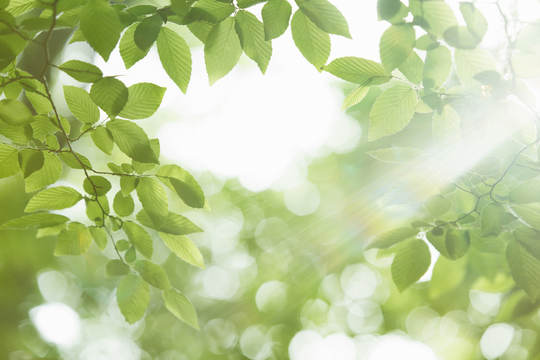 生活習慣を変える事で体はより健康になります