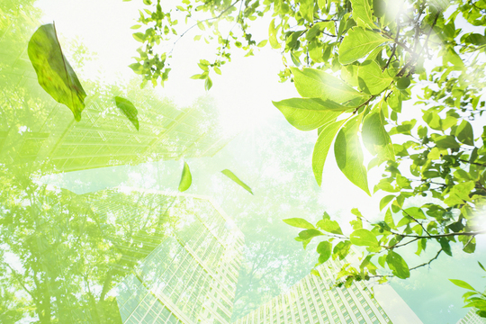 きついと言えばきつい所だらけです。