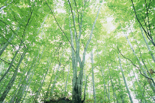 目の疲れと血の損傷