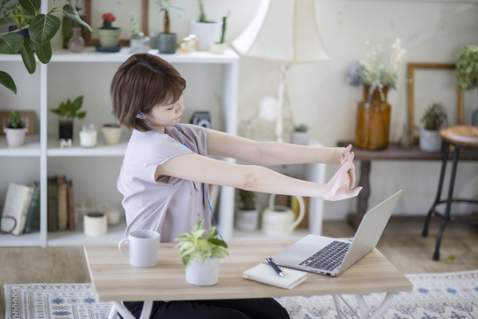 胸鎖乳突筋（きょうさにゅうとつきん）