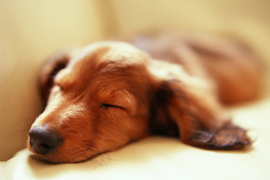 尾骨の引きつりと鍼灸