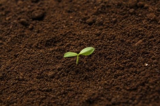 千葉市の一水堂が提案する不妊鍼灸：赤ちゃんの種を迎えるための豊かな土壌づくりのイメージ
