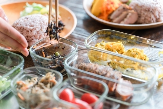 しっかり対策を練り自然治癒力をよく働かせる事が大切です。