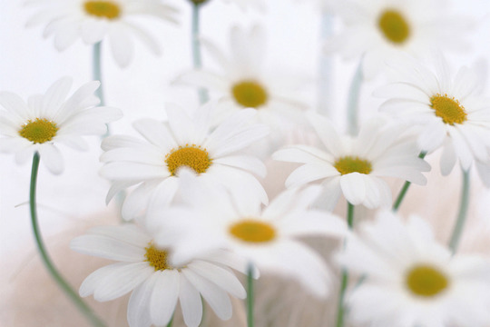 鍼灸千葉市漢方