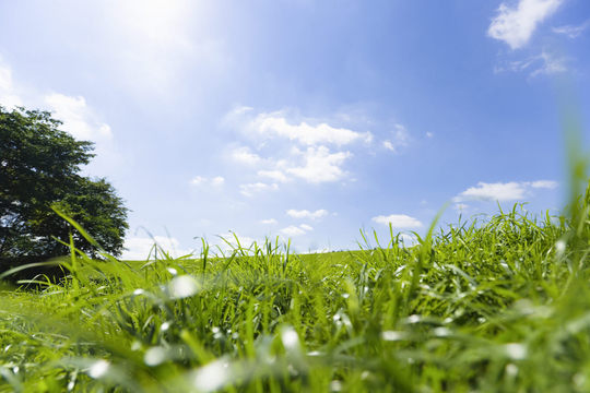 その人にあったはり