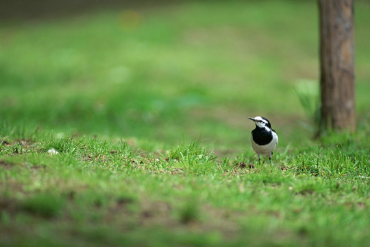 健康と生活の質