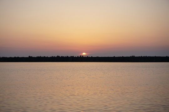 千葉市一水堂の不眠鍼灸：一本の鍼ごとに脈の変化を指先で確かめ、脳の興奮を静めて深い眠りへと導く脈診の様子