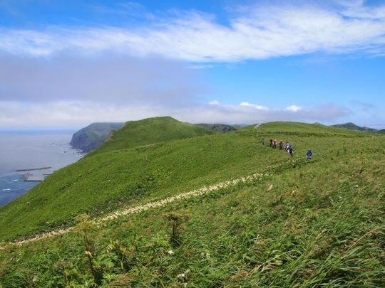 断定せず、今の景色を落ち着いて眺めることで身体を緩める「安定して優しい視点」