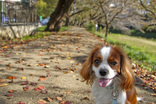 離れた所のツボ