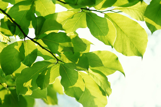 自分の体は自分で変えるという意識を持つ事が大切です。