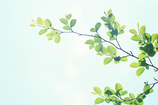 体に合わせたはり