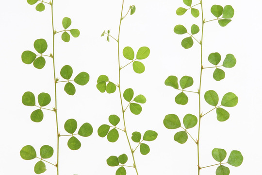 上手く状態に合わせたツボを選ぶ事が重要です。