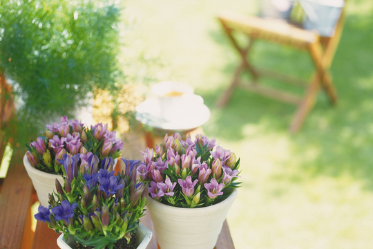 生理痛とめまい