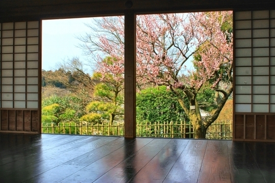 雨の日や季節の変わり目の不調を、自然環境との調和（受容する力）という視点から脈診で紐解く一水堂の考え方