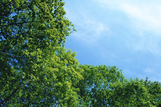 反応のあるツボ